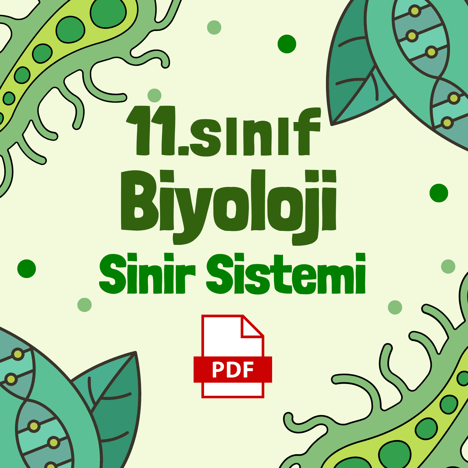 11.Sınıf Biyoloji 1.Ünite Sinir Sistemi